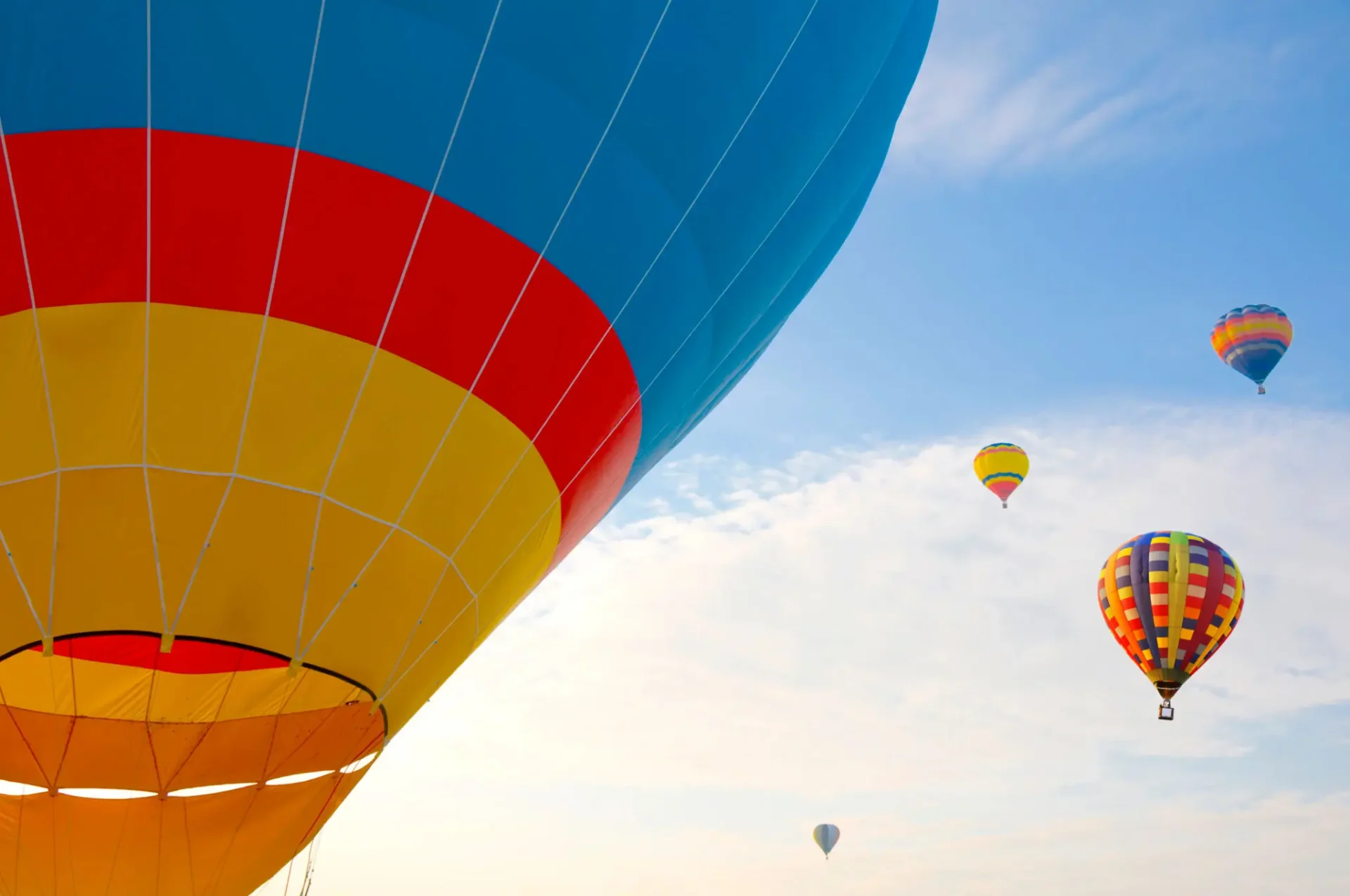 Colorful hot air balloons rising against a blue sky.